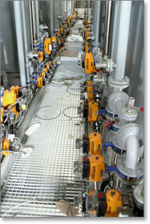 Starch Engineering